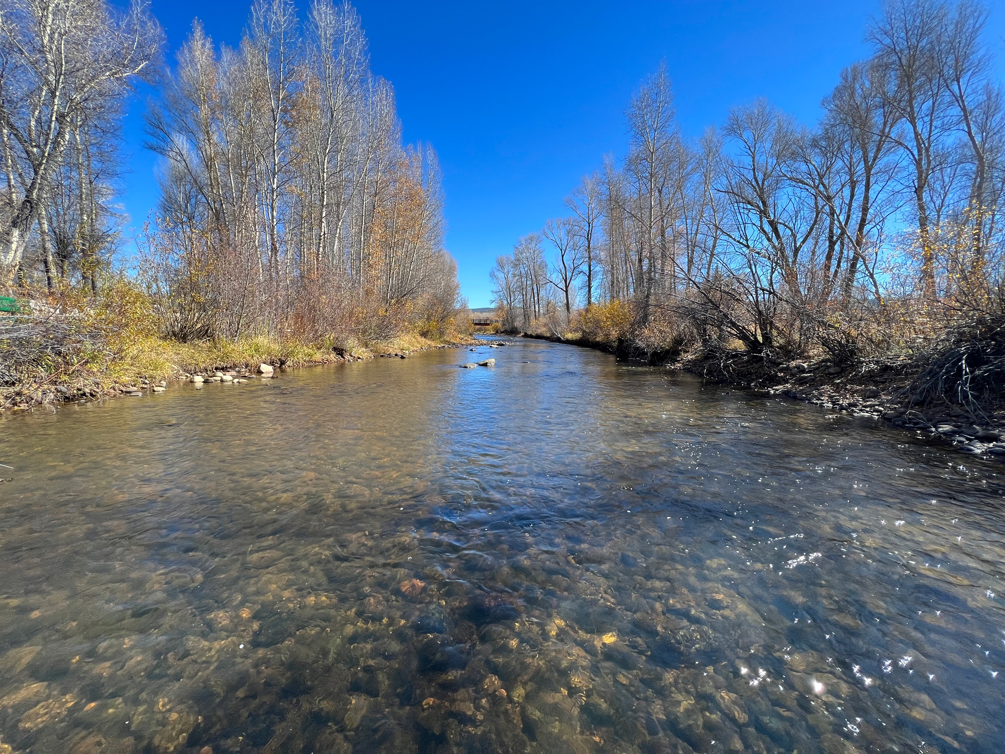 Calm river water under a blue sky with fall trees along its banks.